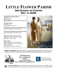 3rd Sunday of Easter - C 