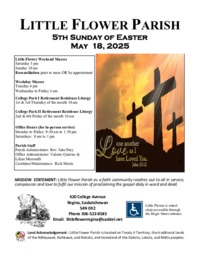 5th Sunday of Easter C (2025)