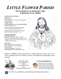 6th Sunday in Ordinary Time - B