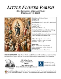 6th Sunday in Ordinary Time - C 
